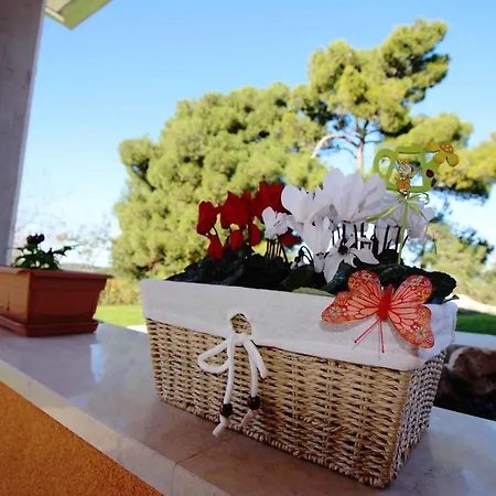 In Porec/istrien 31448 Holiday home *